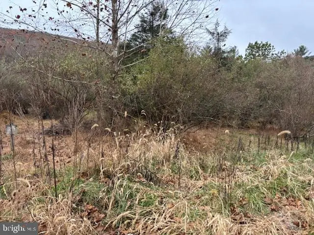 Wildlife Dr, Lost City, WV 26810 - Image #2