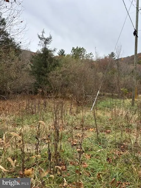 Wildlife Dr, Lost City, WV 26810 - Image #3