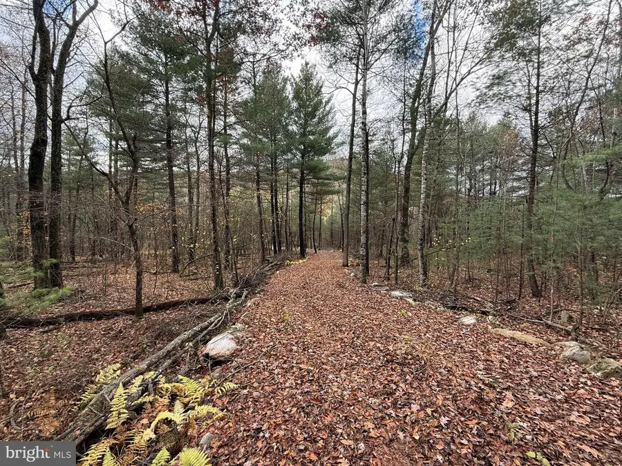 Lot#25 Brooke Trout Drive, Wardensville, WV 26851 - Image #2
