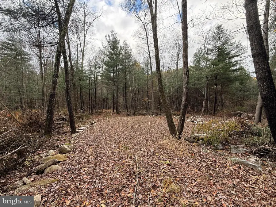 Lot#25 Brooke Trout Drive, Wardensville, WV 26851 - Image #3