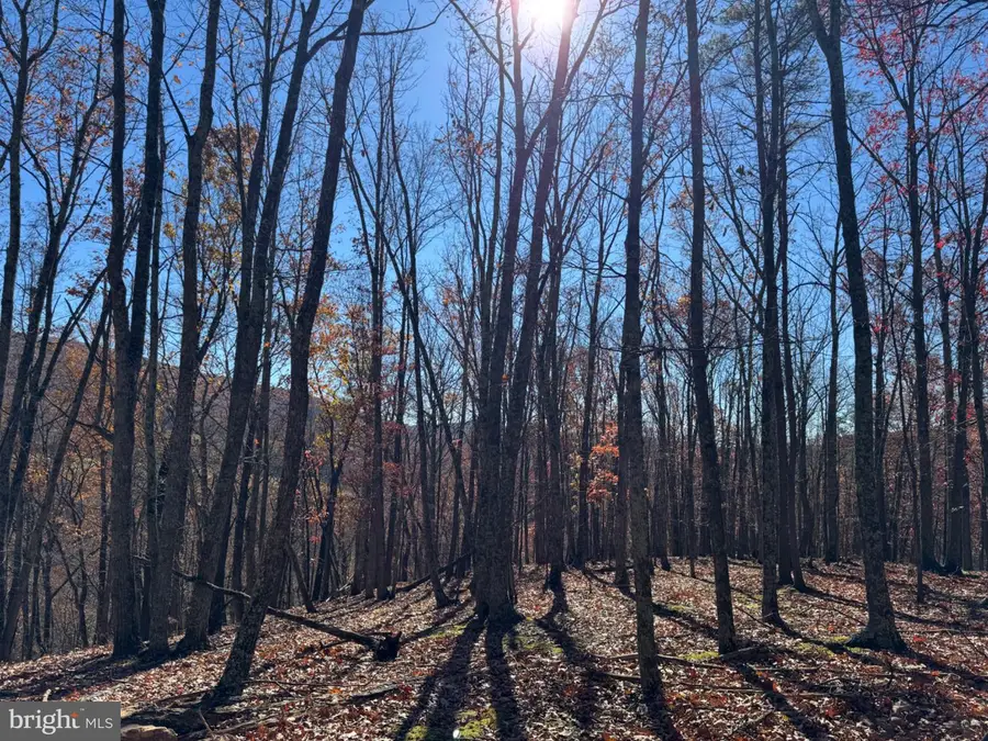 Lot 2 Cove Creek Rd, Baker, WV 26801 - Image #3