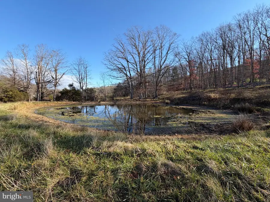 34.58 Ac Off Sperry's Run Rd, Baker, WV 26801 - Image #2