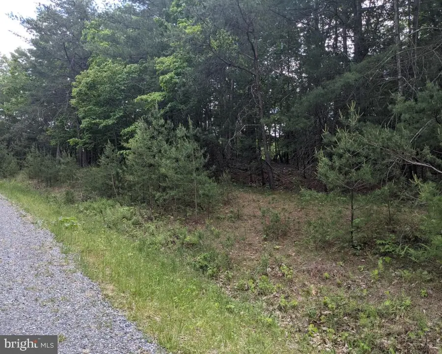 0 Slate Rock Run, Wardensville, WV 26851 - Image #2