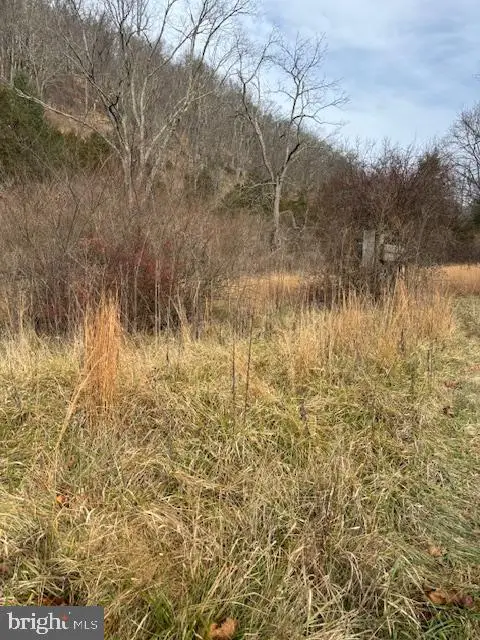 866 Wildlife Dr, Lost City, WV 26810 - Image #2