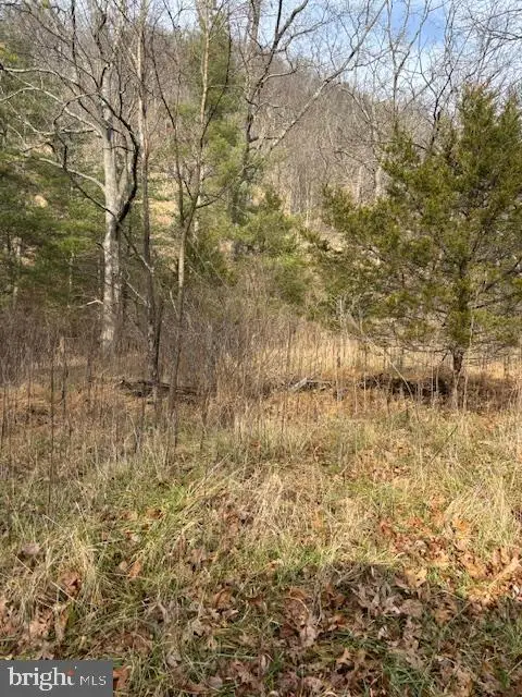 Lot 14 Wildlife Dr, LOST CITY, WV 26810