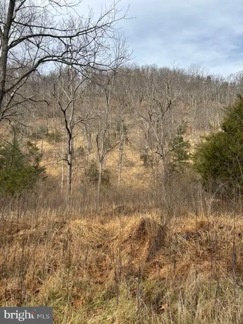 Lot 14 Wildlife Dr, Lost City, WV 26810 - Image #3