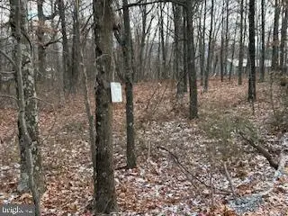 Hutter Road, Fisher, WV 26818 - Image #2