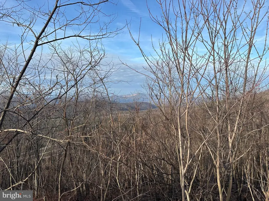 333 Ashton Woods, Moorefield, WV 26836 - Image #3