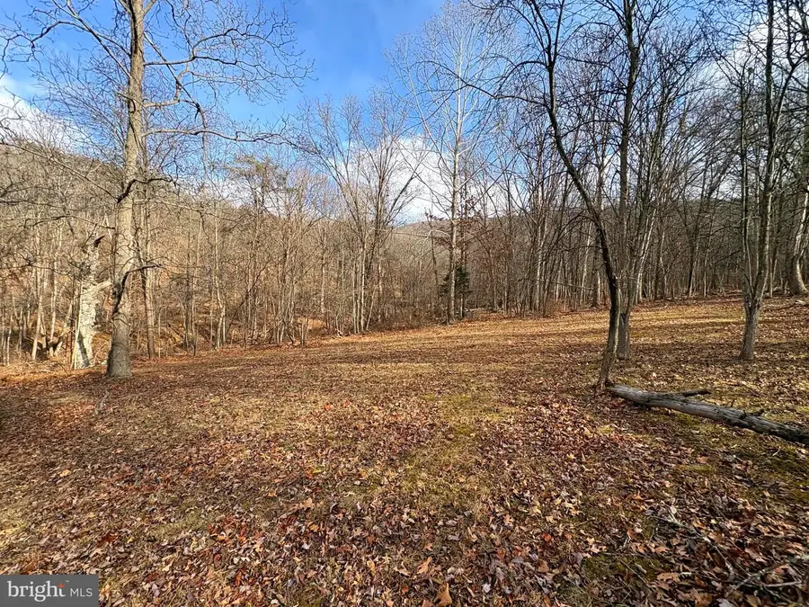 16 Rolling Acres Dr, Old Fields, WV 26845 - Image #3