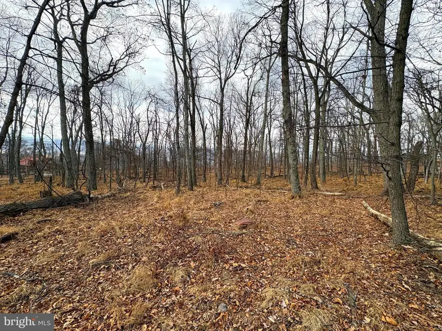 2780 High Knob Rd, Old Fields, WV 26845 - Image #3