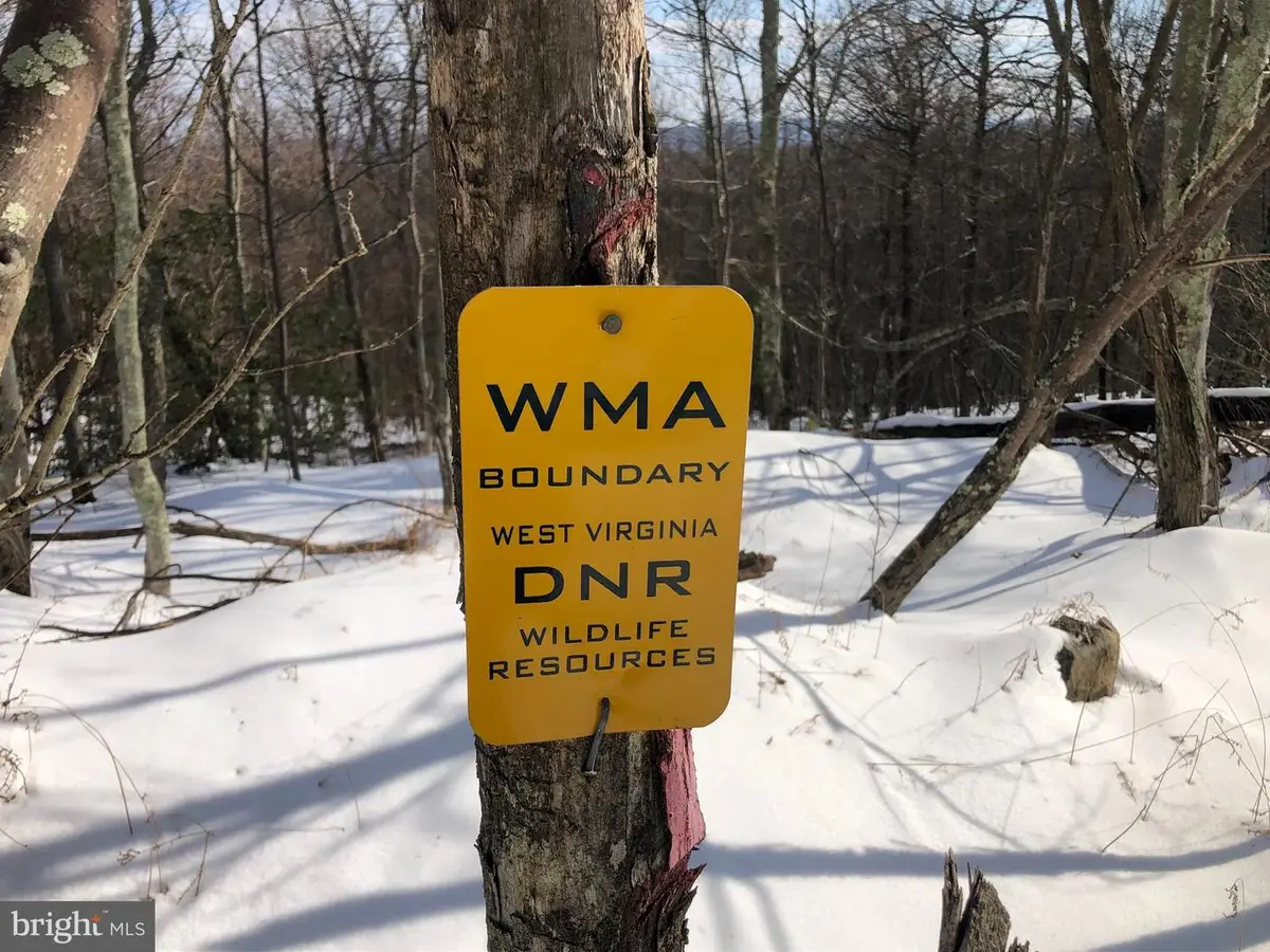 356 Ashton Woods, Moorefield, WV 26836 - #1