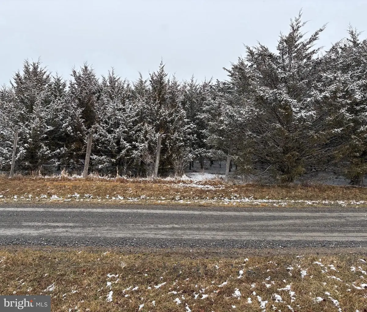 Lot 4 Wisteria Lane, Old Fields, WV 26845 - #1