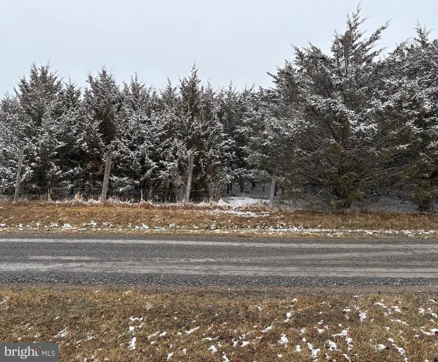 Lot 4 Wisteria Lane, Old Fields, WV 26845 - #3