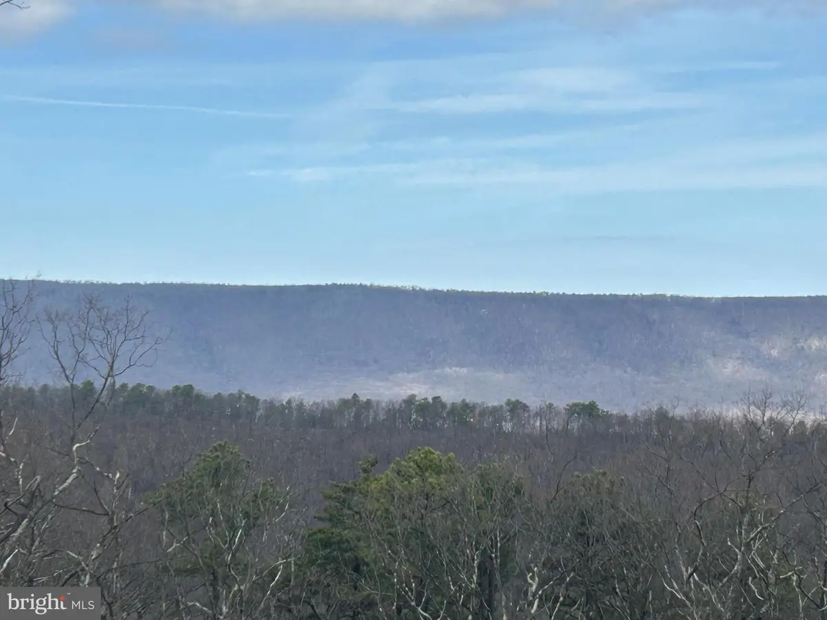 121 Scotch Pine Ln, Wardensville, WV 26851 - #1