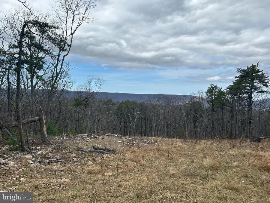 121 Scotch Pine Ln, Wardensville, WV 26851 - #2