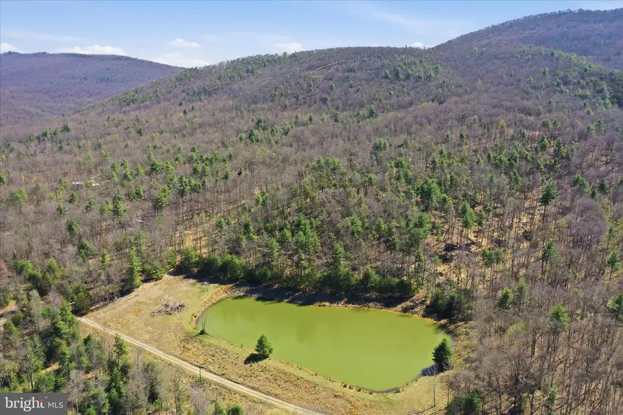 56 Acres Falcon Road, Mathias, WV 26812 - #3