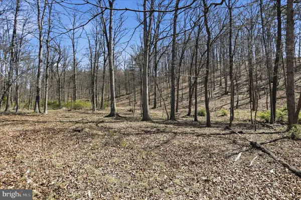 20.32 Ac Trough Rd, MOOREFIELD, WV 26836
