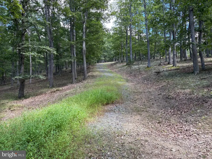 20.32 Ac Trough Rd, Moorefield, WV 26836 - #2
