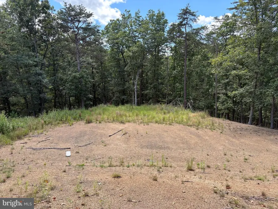 20.32 Ac Trough Rd, Moorefield, WV 26836 - #3