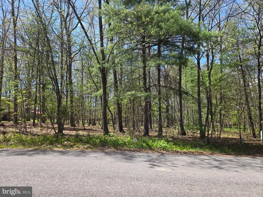 Warden Circle Rd, Wardensville, WV 26851 - #2