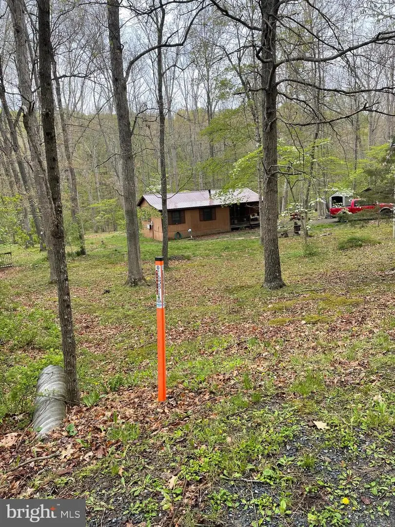462 Trout Stream Rd, Lost City, WV 26810 - #1