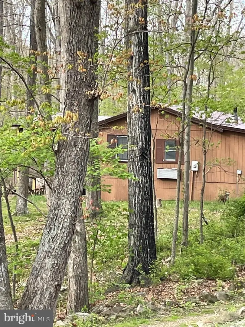 462 Trout Stream Rd, Lost City, WV 26810 - #3