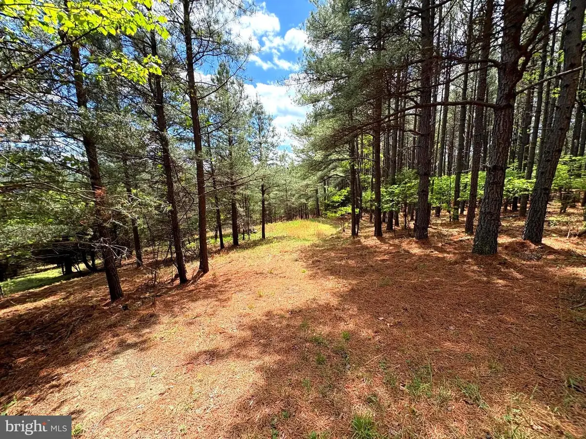 20.74 Ac Lot 10 Ashton Woods, Moorefield, WV 26836 - #1