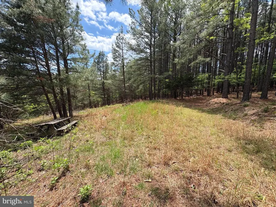20.74 Ac Lot 10 Ashton Woods, Moorefield, WV 26836 - #2