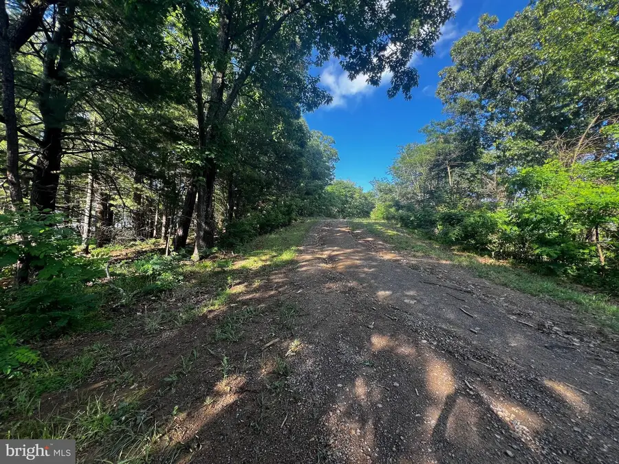 Lot 52 Grace Mountain, Moorefield, WV 26836 - #3