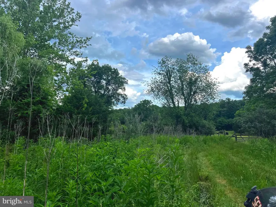 12125 State Road 259, Mathias, WV 26812 - #3