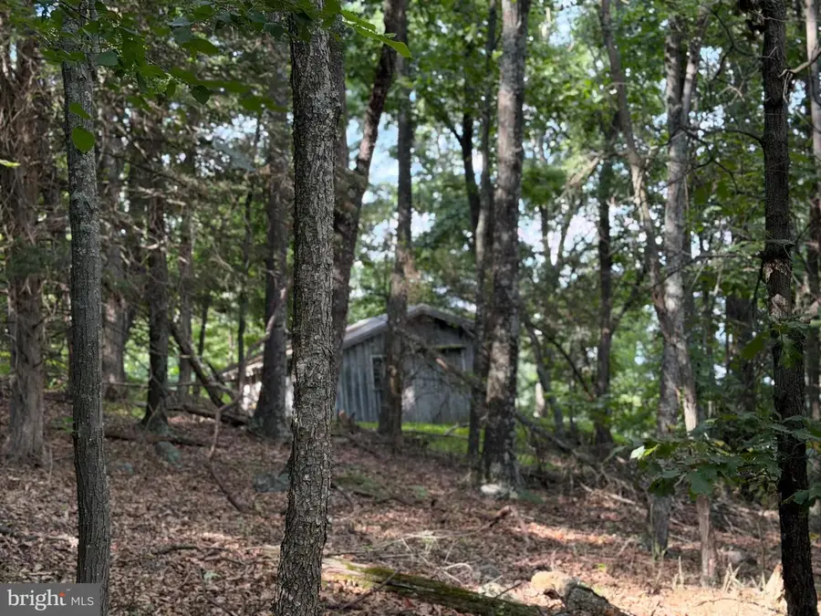 584 Berry Mountain Ln, Mathias, WV 26812 - #2