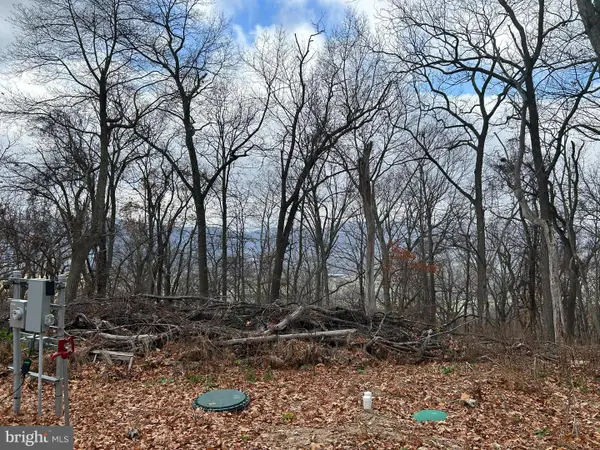 220 High Knob, OLD FIELDS, WV 26845
