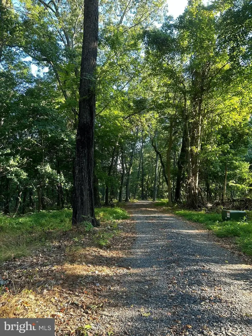 220 High Knob, Old Fields, WV 26845 - #3