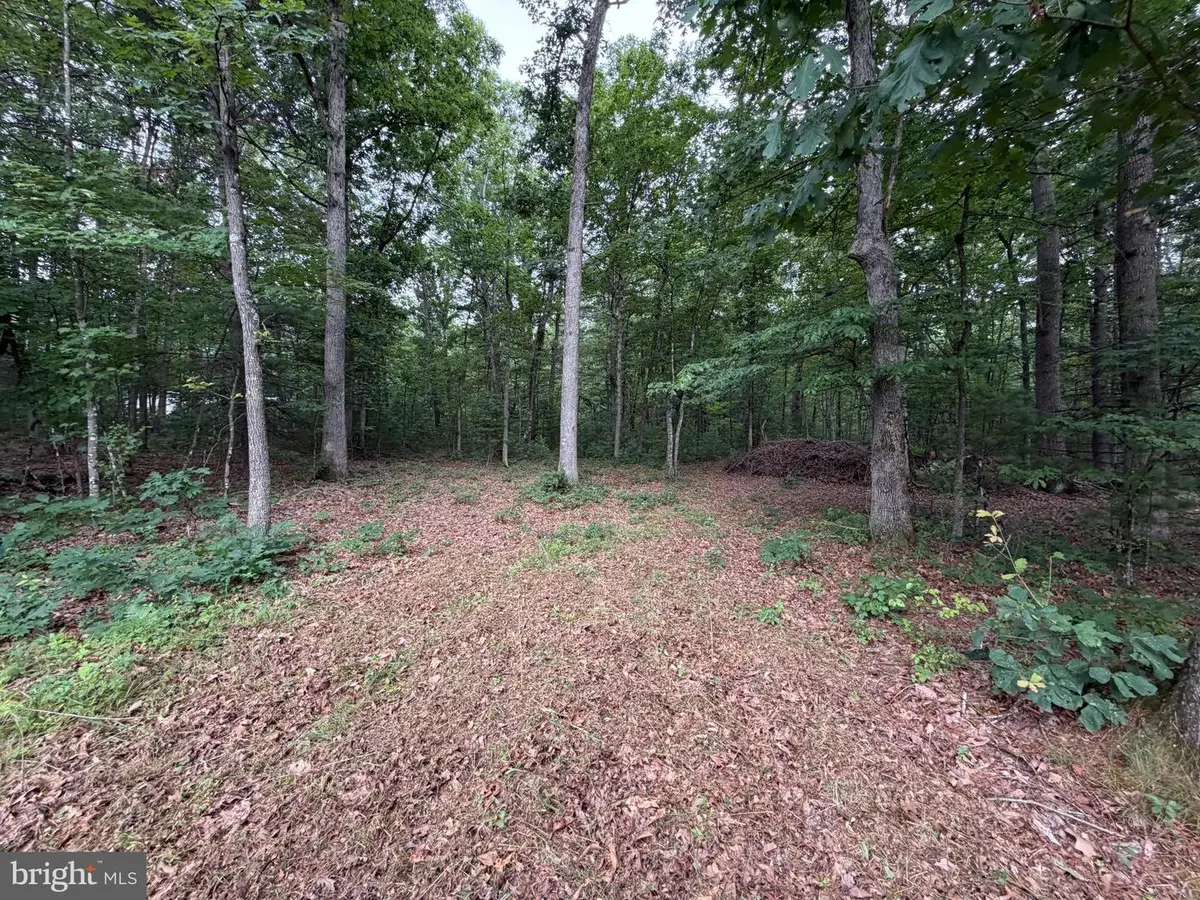 Lot 8 2ac Grizzly Rd, Mathias, WV 26812 - #1