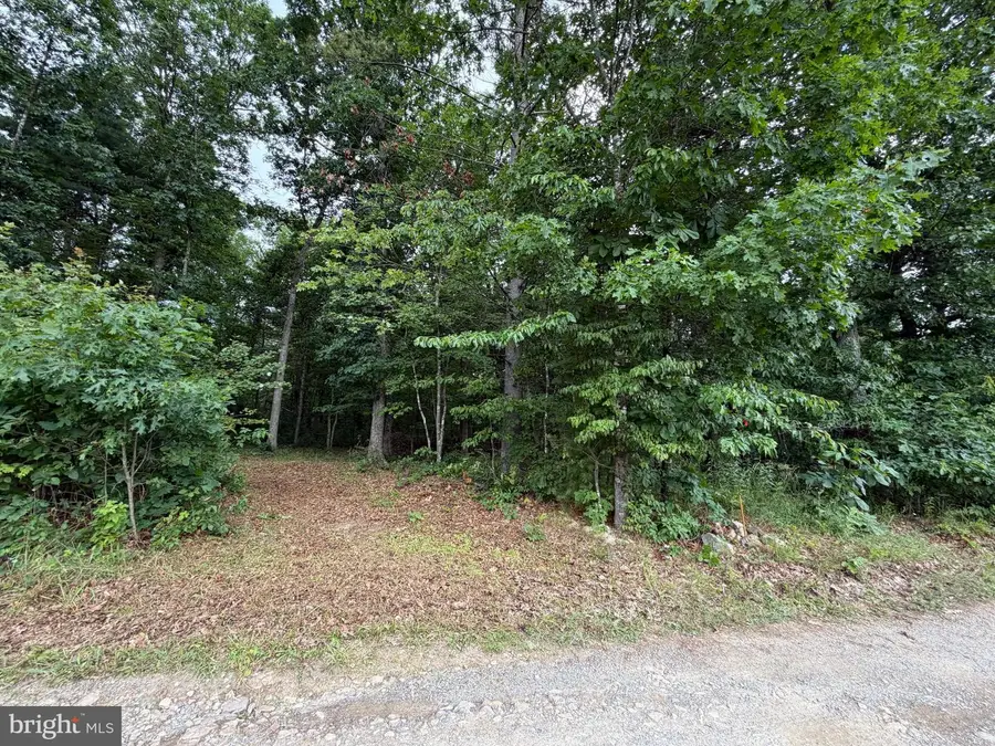 Lot 8 2ac Grizzly Rd, Mathias, WV 26812 - #3