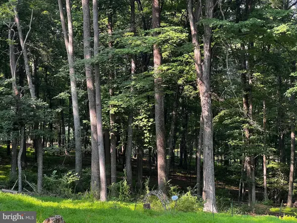 336 Howard Delawder Ln, MATHIAS, WV 26812