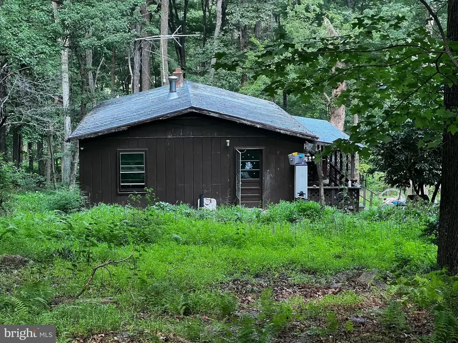 336 Howard Delawder Ln, Mathias, WV 26812 - #2
