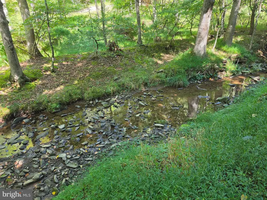 1 Acre Adjoining Lost River State Park, Mathias, WV 26812 - #2