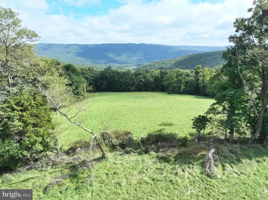 129.93 Acres Off Strawderman Rd, Mathias, WV 26812 - #3