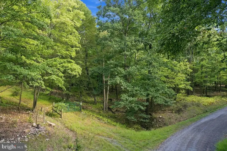 Lot 46 Old Poplar Dr, Baker, WV 26801 - #2