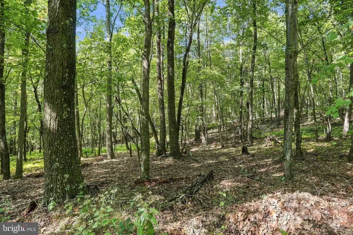 Lot 69 Red Maple Dr, Baker, WV 26801 - #1