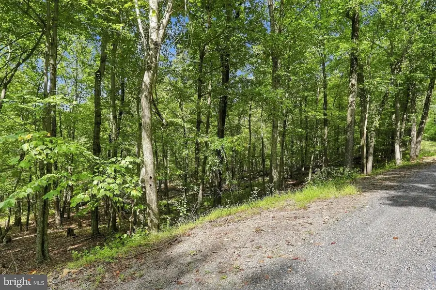 Lot 69 Red Maple Dr, Baker, WV 26801 - #3