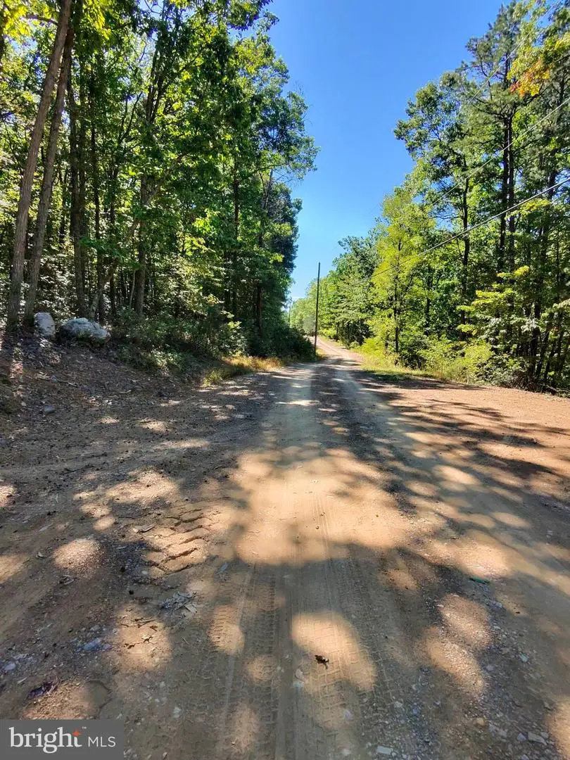 Lot 12 Pine Ridge Ext, Wardensville, WV 26851 - #3