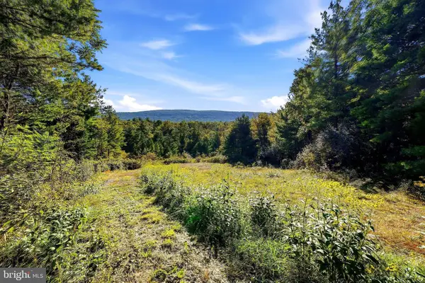 Lot 4 Brooke Trout Dr, WARDENSVILLE, WV 26851