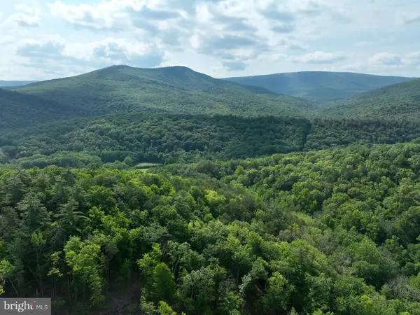 686.10 Acres Thorne Bottom Rd, WARDENSVILLE, WV 26851