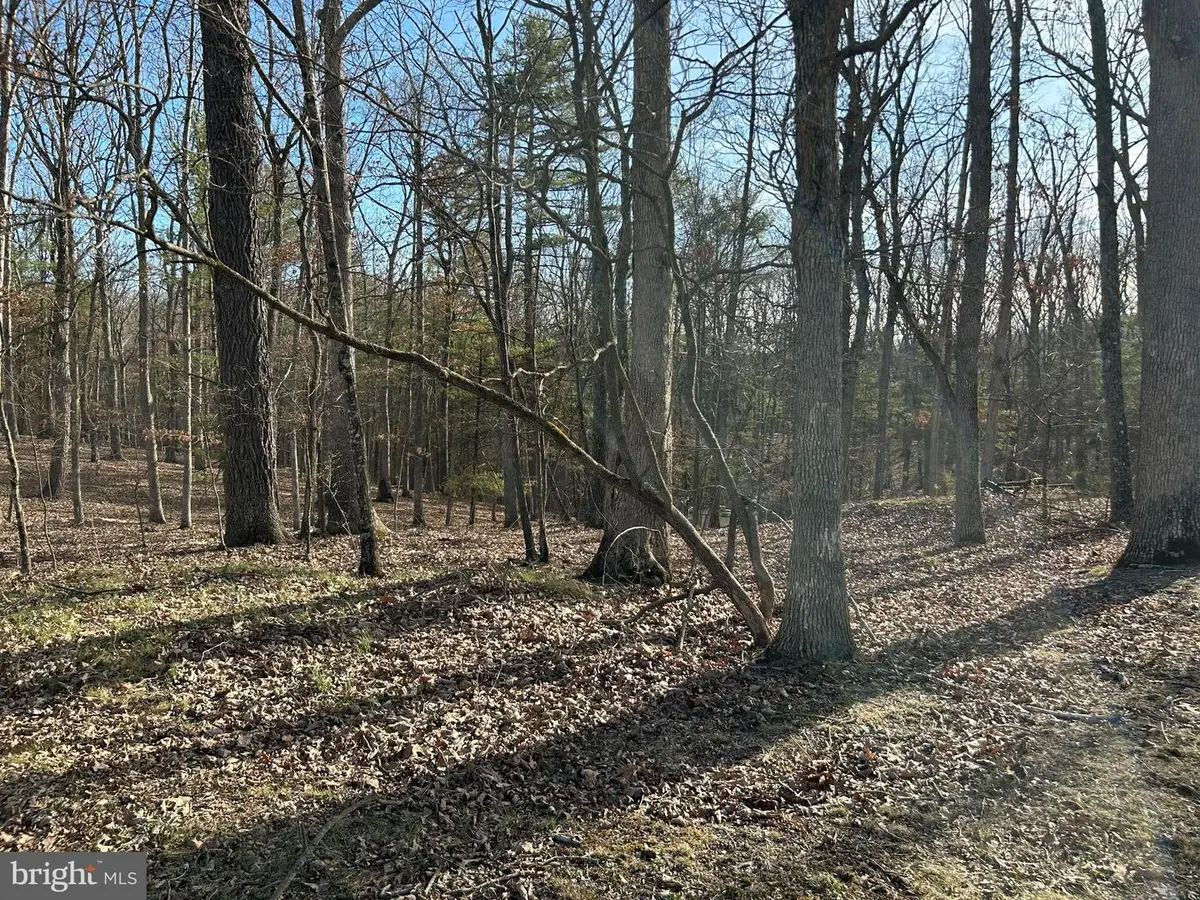 Misty Meadows Ln, Augusta, WV 26704 - Image #1