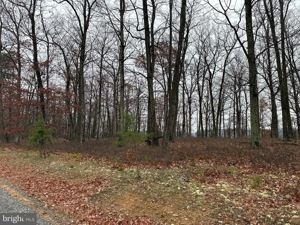 Doman Ridge Rd, Romney, WV 26757 - Image #1