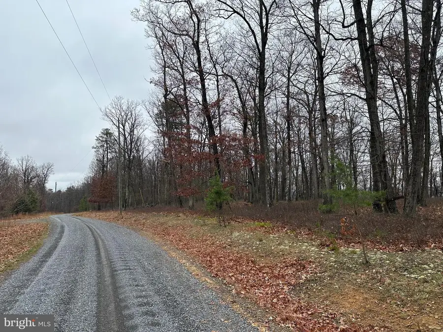 Doman Ridge Rd, Romney, WV 26757 - Image #2