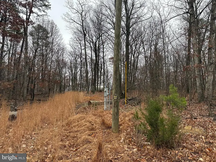 Doman Ridge Rd, Romney, WV 26757 - Image #3