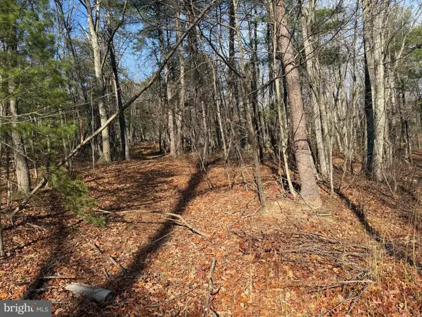 5 Edwards Run Rd, CAPON BRIDGE, WV 26711